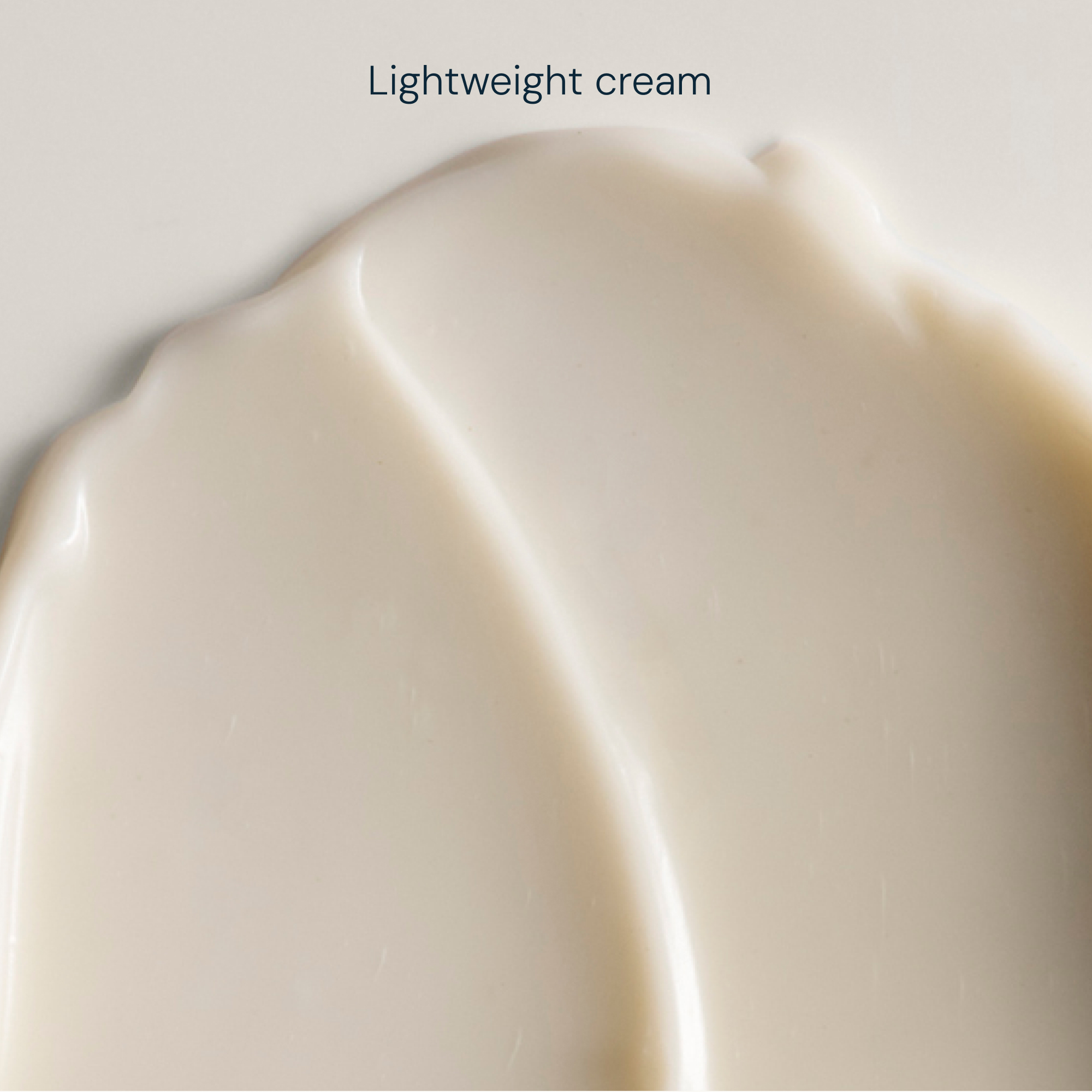 Superfood Day Cream Moisturizer